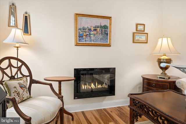 living area with hardwood / wood-style floors