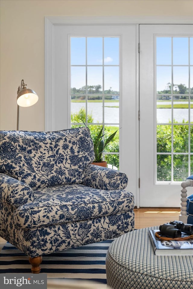 living room featuring a wealth of natural light and a water view