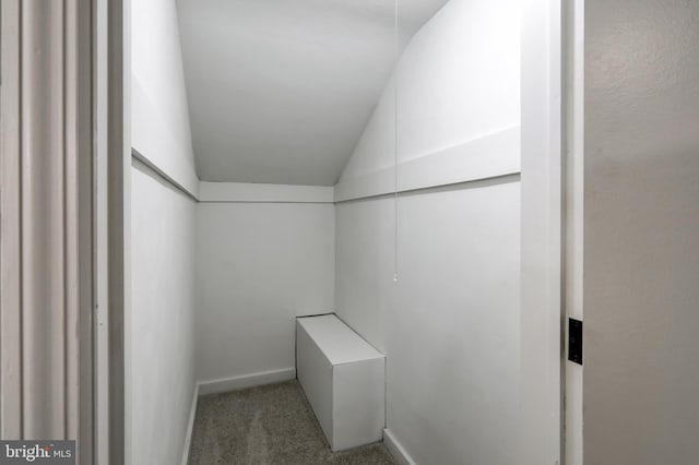 walk in closet featuring carpet floors and vaulted ceiling