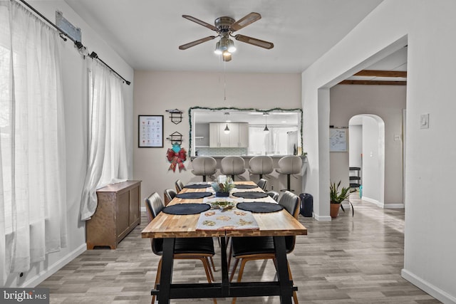 dining space with ceiling fan and light hardwood / wood-style flooring