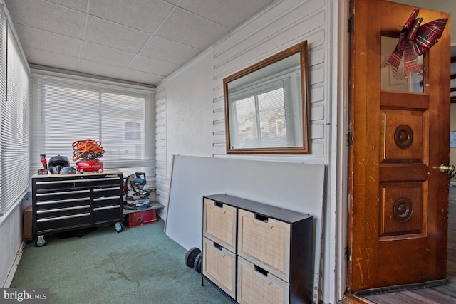 interior space featuring carpet and wood walls