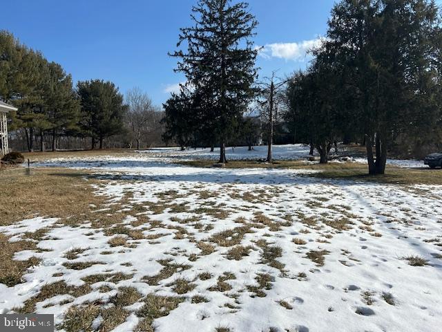 view of yard layered in snow