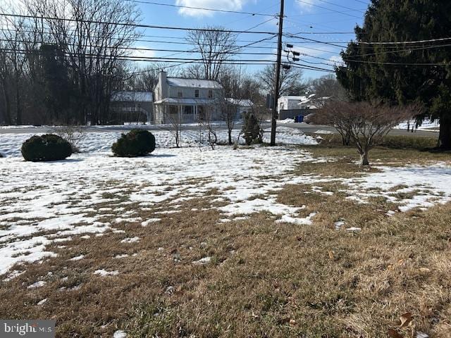 view of yard covered in snow