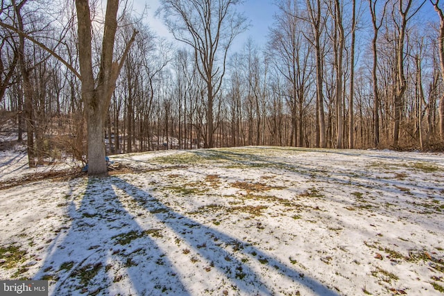 view of snowy yard