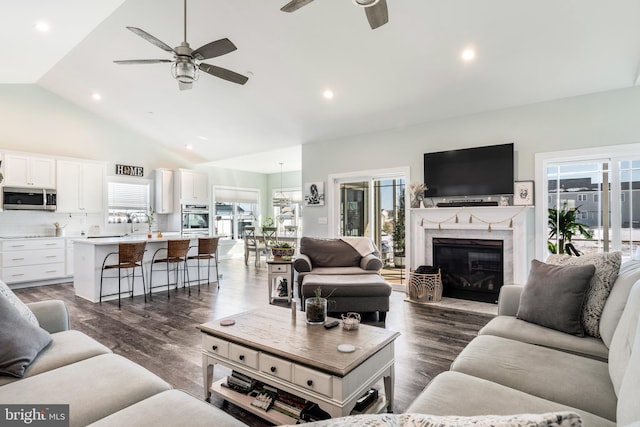 living room with dark wood-type flooring, a premium fireplace, lofted ceiling, and plenty of natural light