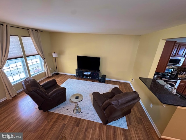 living room with wood-type flooring