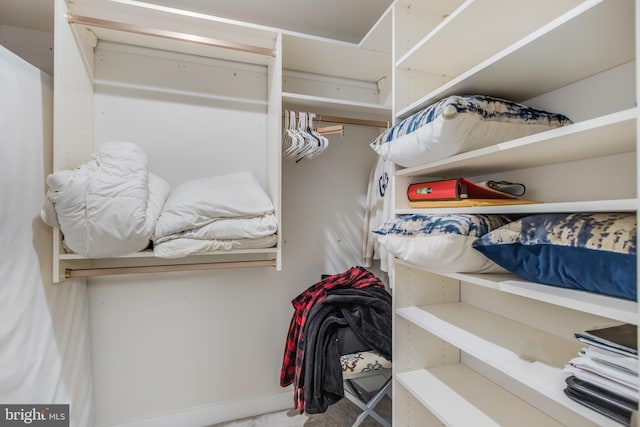 view of walk in closet