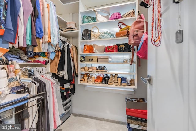 view of spacious closet