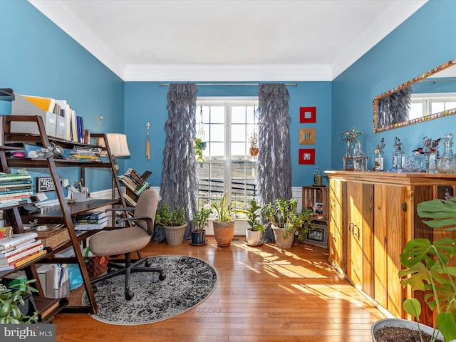 office featuring hardwood / wood-style flooring and ornamental molding