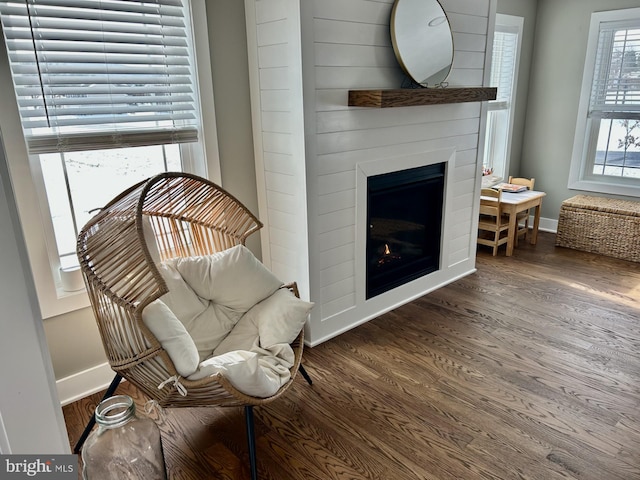 living area featuring a large fireplace and dark hardwood / wood-style floors