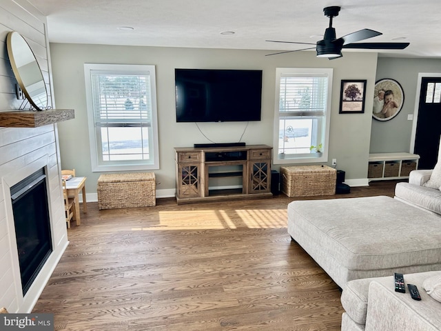 living room with ceiling fan and wood-type flooring