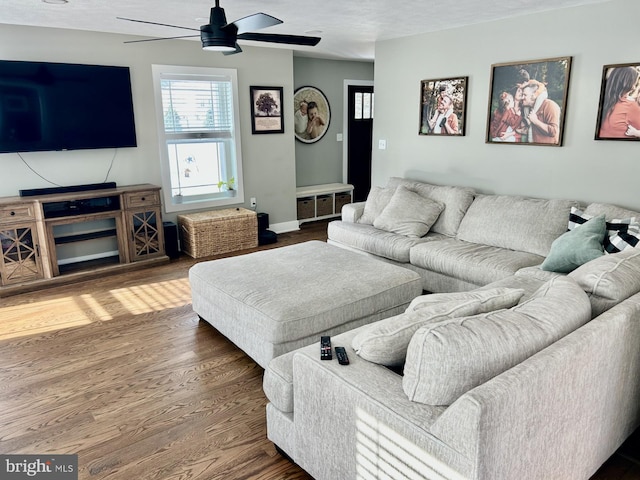 living room with ceiling fan and wood-type flooring