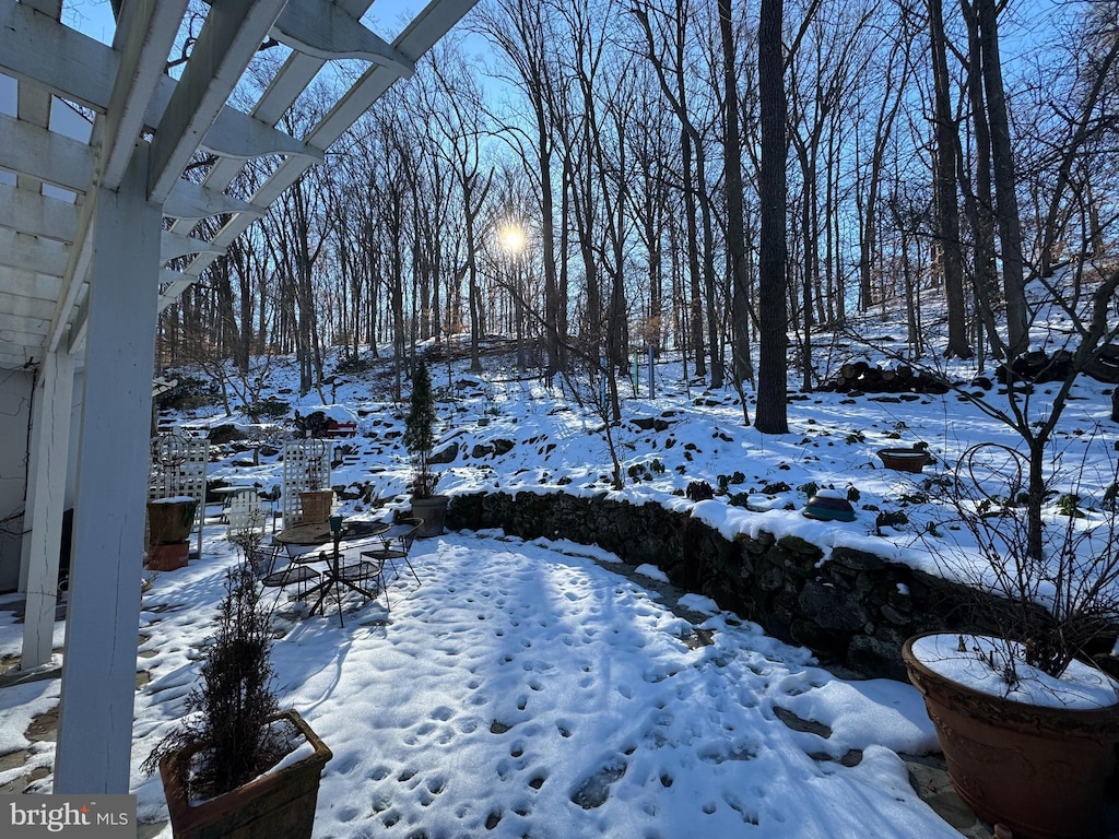 view of snowy yard