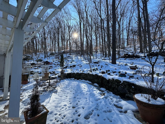 view of snowy yard