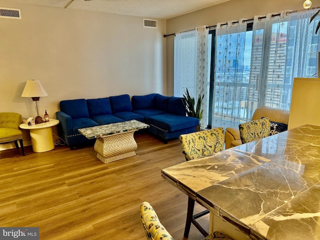 living room with a healthy amount of sunlight, wood-type flooring, and a textured ceiling