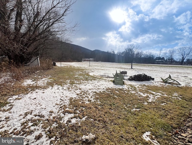 view of yard featuring a mountain view