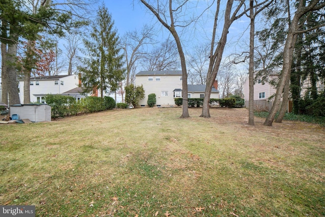 view of yard with a storage shed