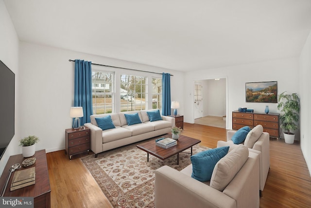 living room with wood-type flooring