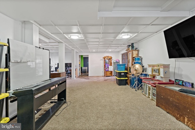 playroom with carpet