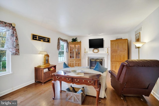 living room with hardwood / wood-style floors