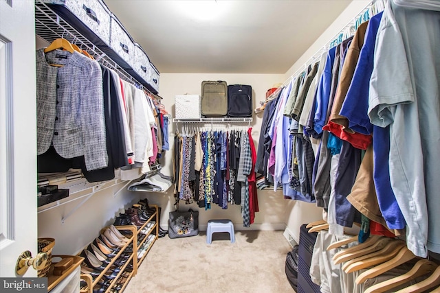 spacious closet featuring carpet floors