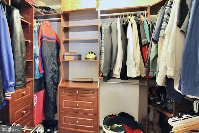 view of spacious closet