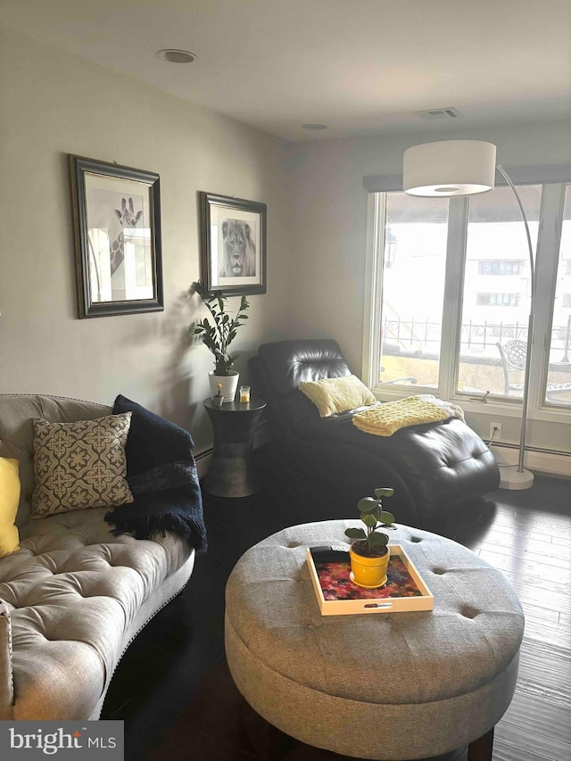 living room featuring wood-type flooring