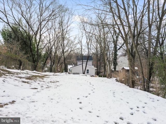 view of snowy yard