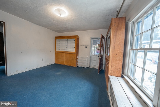 carpeted empty room with a textured ceiling and plenty of natural light