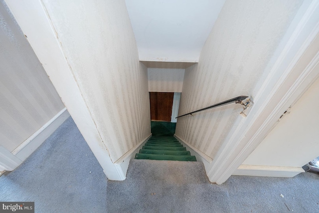 stairway with carpet