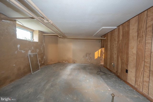 basement with wood walls