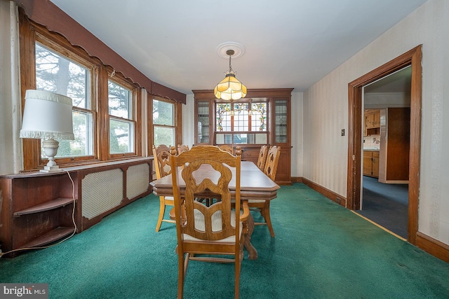 carpeted dining area featuring a healthy amount of sunlight