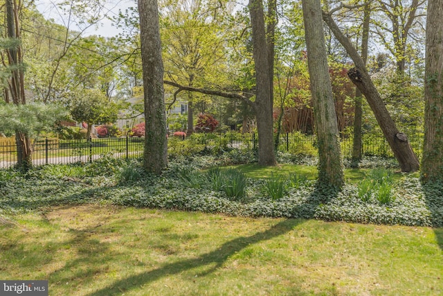 4901 Stillwell Ave, Alexandria, VA 22309 - view of yard featuring fence