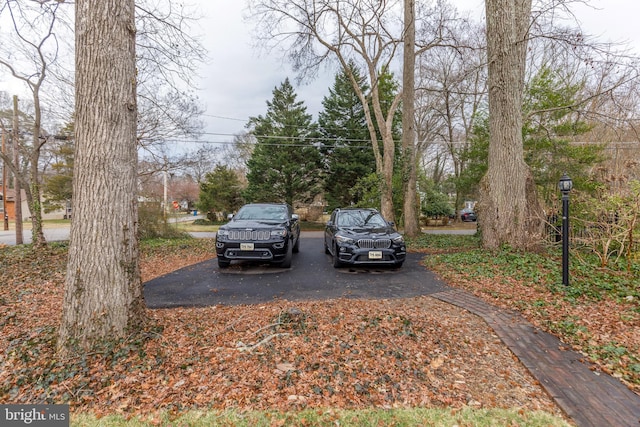 4901 Stillwell Ave, Alexandria, VA 22309 - view of yard