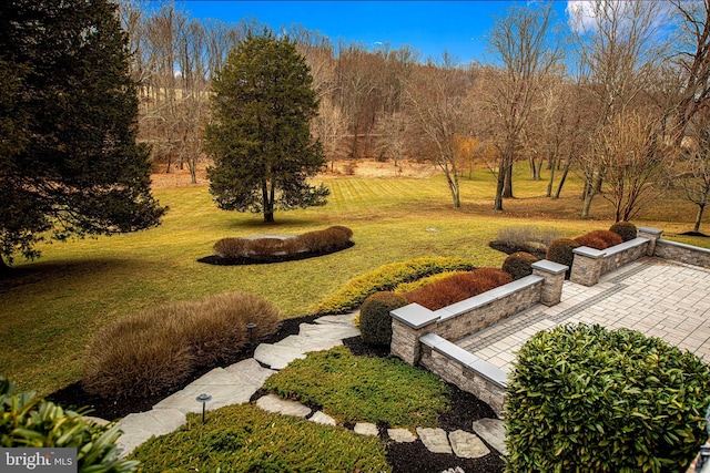 view of yard with a patio