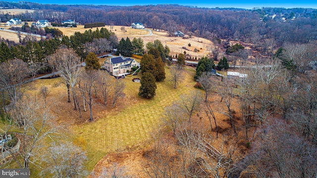 bird's eye view with a view of trees