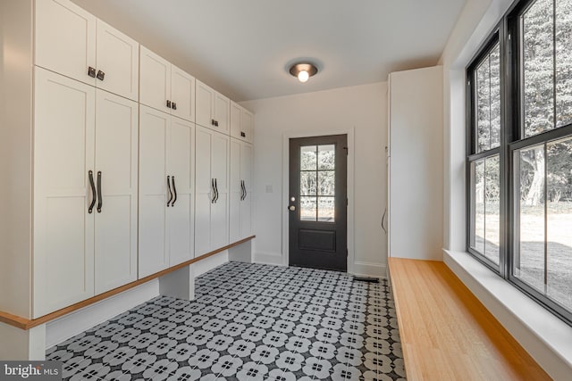 mudroom featuring a healthy amount of sunlight