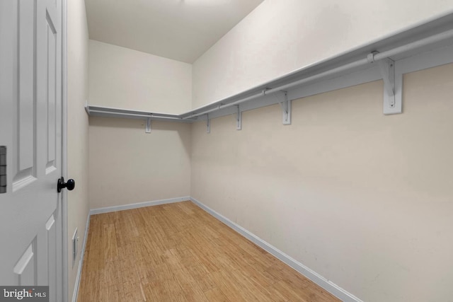 spacious closet featuring light hardwood / wood-style floors