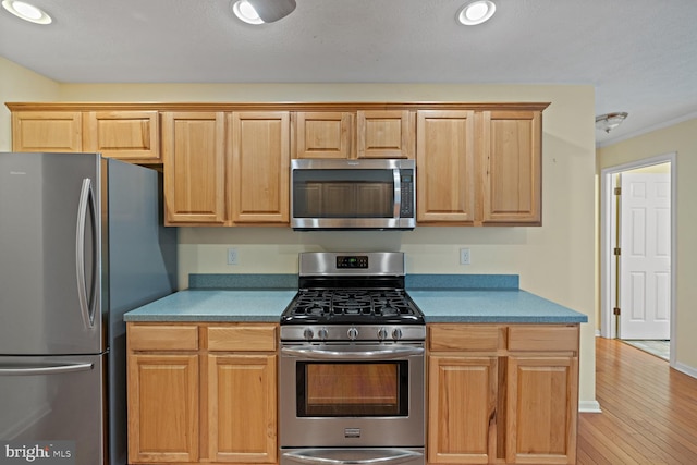 kitchen featuring appliances with stainless steel finishes and light hardwood / wood-style flooring