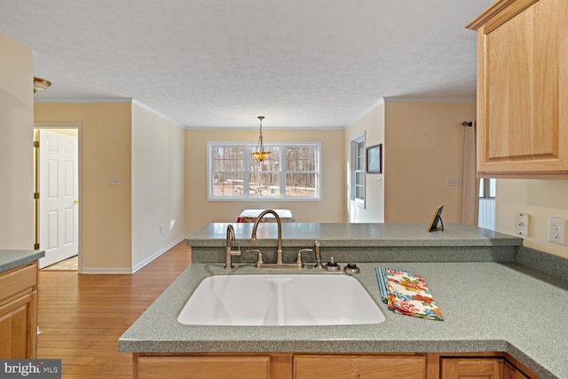 kitchen featuring light brown cabinetry, sink, light hardwood / wood-style flooring, a textured ceiling, and ornamental molding