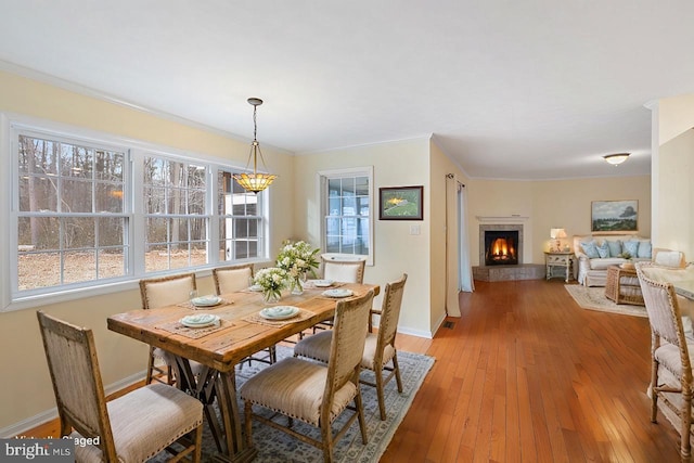 dining area with hardwood / wood-style floors, crown molding, and a fireplace