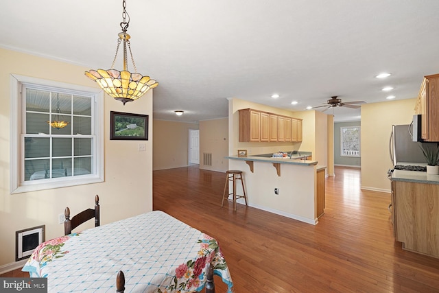 dining room with wood-type flooring and ceiling fan