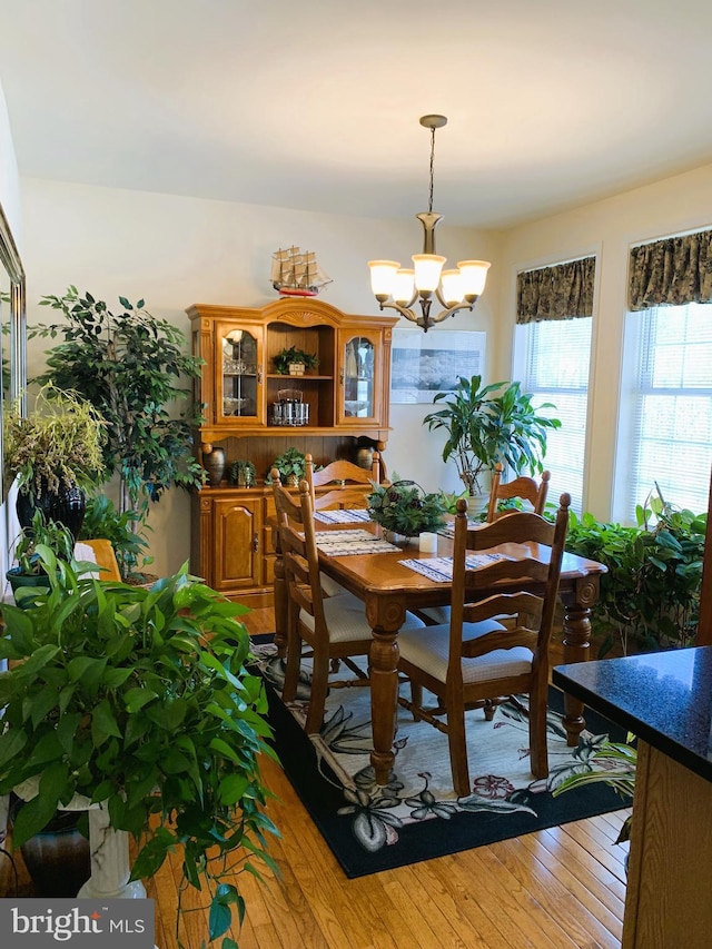 dining area with light hardwood / wood-style floors and a chandelier