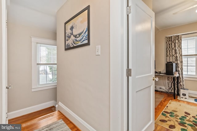 hallway featuring light hardwood / wood-style floors and plenty of natural light