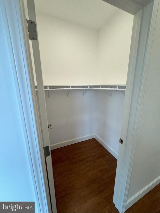 walk in closet with dark wood-type flooring