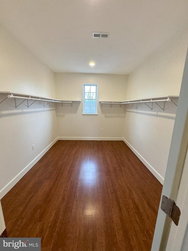 walk in closet featuring dark hardwood / wood-style floors