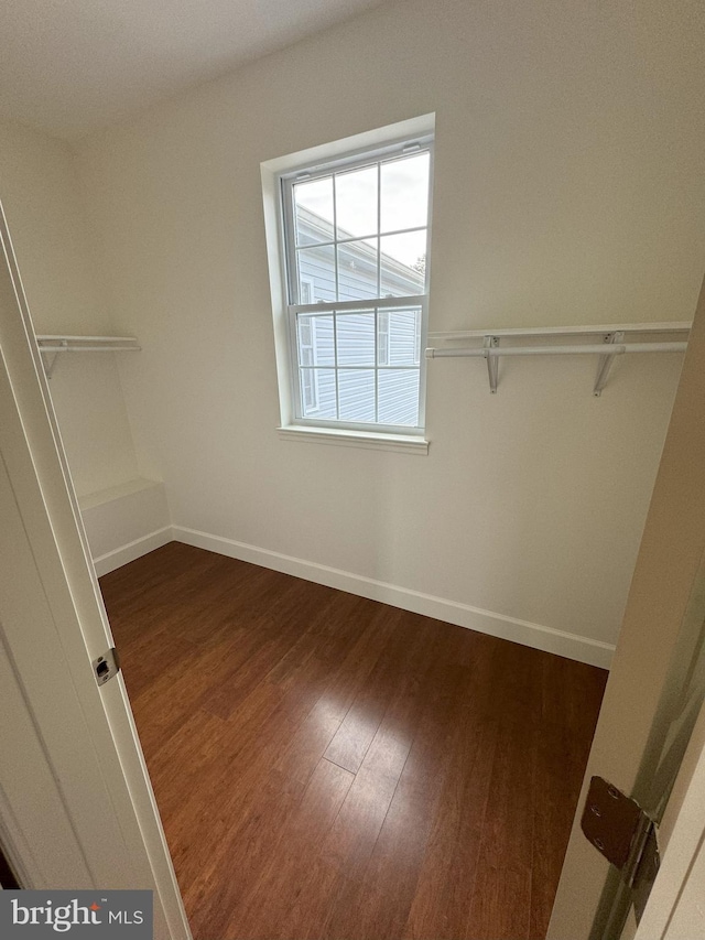 spacious closet with dark wood-type flooring