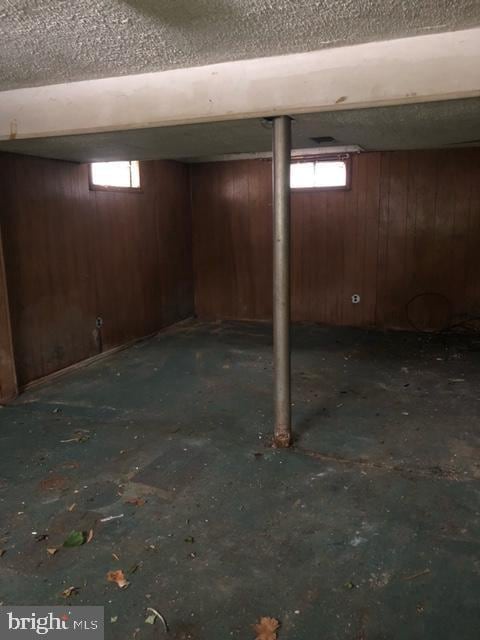 basement with wood walls