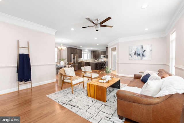 living room with crown molding, a wealth of natural light, ceiling fan with notable chandelier, and light hardwood / wood-style floors