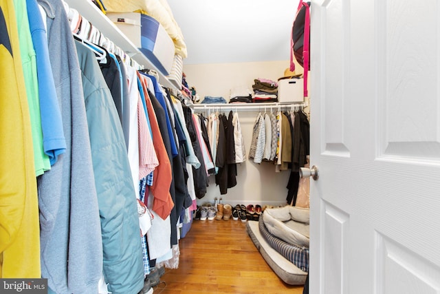 walk in closet featuring hardwood / wood-style floors